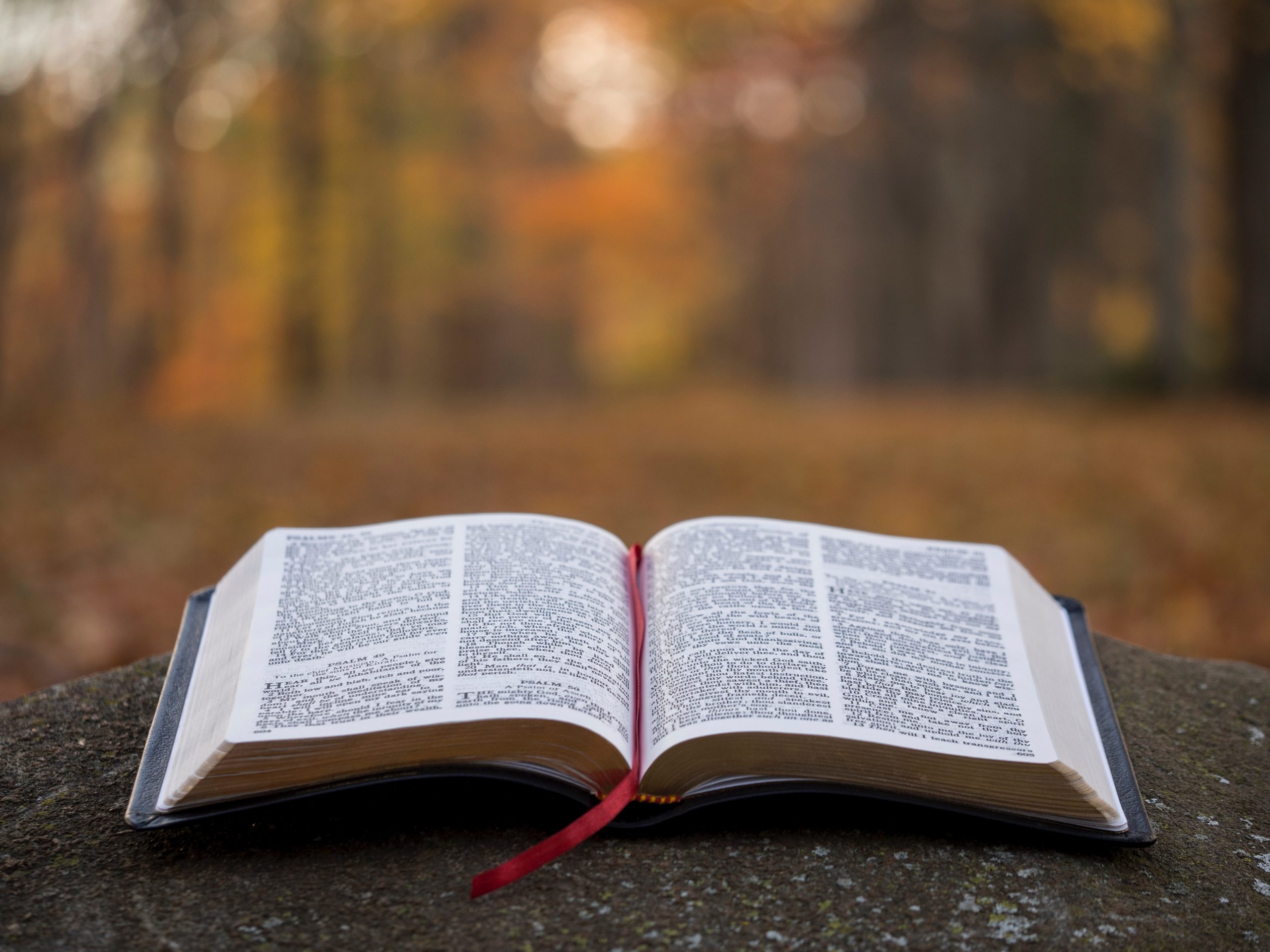 Remote Bible Teaching | Jeremiah Part 1